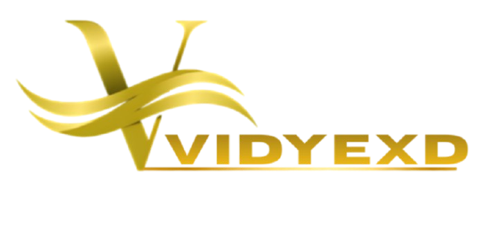 Vidyexd Logo